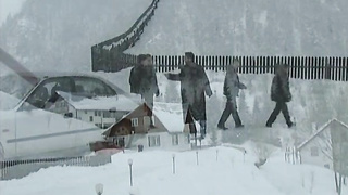 Snowballs 2 (2003) 480p