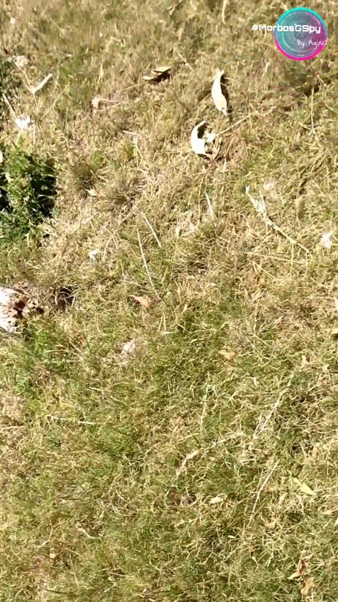 BlowJobs with Homeless Str8 Men