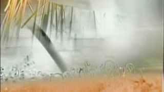 Jackhammered (2001)